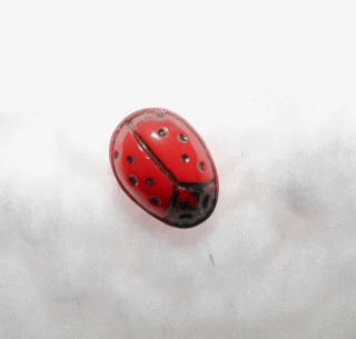 Rare Red Vintage Diminutive Realistic Lady Bug Glass Button 304e