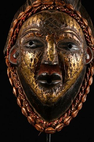 10016 Rare Punu TRIBE Puka Shell QUEEN MASK Old AFRICAN Wood CARVED 3