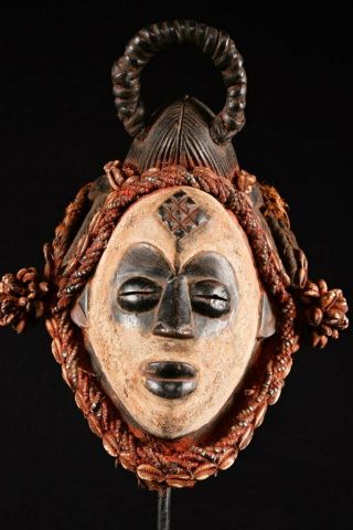10210 Rare Punu Tribe Puka Shell Queen Mask Old Gabon African Wood Carved
