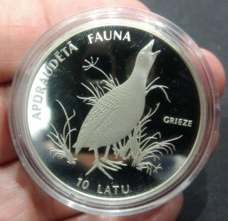 Latvia Latvijas 10 Latu 1996 Grieze Apdraudeta Fauna Silver Proof Km.  33 Rare