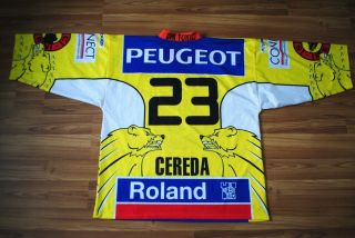 Sc Bern 23 Luca Cereda Match Worn Hockey Shirt Jersey Autographs Signed Rare Xl