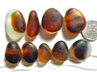 9 Multi M/l - Xl Amber Orange Nut 1.  3oz Jq Rare Seaham English Sea Glass