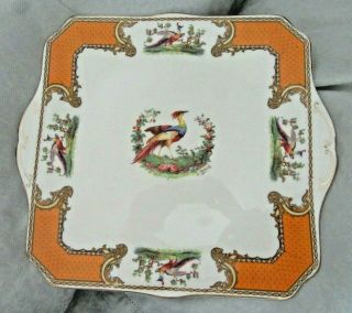 Myott Royal Crown Chelsea Bird Rare Color Yellow Gold Square Cake Plate 11 1/2