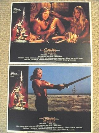 Conan The Barbarian - Lobby Cards - Arnold Schwarzenegger - Mint/mint - 11 " X 14 " - Rare