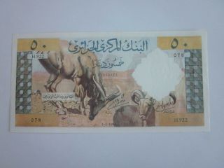Algeria Rare 50 Dinars P 124a 1964 Unc Huge Note First Issue After Independence