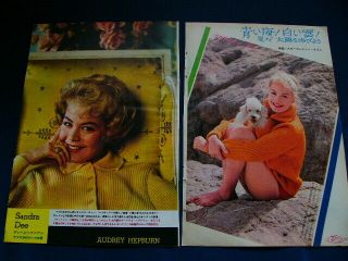 1960s Sandra Dee Tammy And The Doctor Japan Vintage 27 Clippings Very Rare