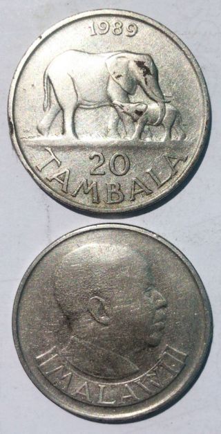 Malawi 20 Tambala 1989 - 1994 Rare Edition Elephant 29mm Steel Coin Km11.  2a