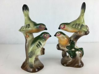 Early 20th Century Art Nouveau Style Bird Pair: Royal Copley,  Rare: 4 Birds
