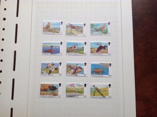 Falkland Islands Stamps Mnh.  1998 Rare Visiting Birds.  Sg 804/15.