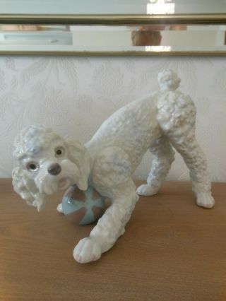 Lladro - Rare Vintage Retired Large White Poodle Dog Playing With A Ball