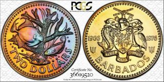 1 Highest Graded Worldwide 1976 - Fm Barbados Two Dollars Pcgs Pl68 Rare Toned