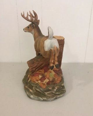 Rare 1981 Ski Country Limited Edition Whitetail Deer 750ML Decanter With Shell 2