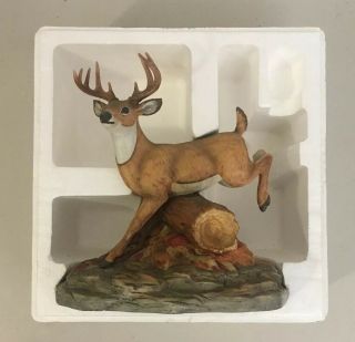 Rare 1981 Ski Country Limited Edition Whitetail Deer 750ML Decanter With Shell 6