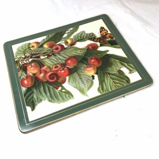 Rare Set of 6 Collectible Lady Clare Small Hard Placemats with Images of Fruit 2