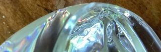 Rare Steuben Glass Loving Cat Figurine Ornamental 9014 Taf Lebel Schaefer 5 