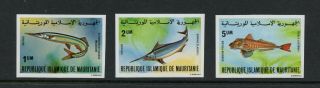 Q566 Mauritania 1979 Fish Marine Rare Imperf 3v.  Mnh