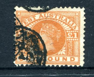 Rare 1902 Western Australian 1 Pound Sg 128