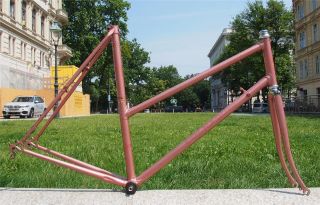 Vintage Rare 1980s Colnago Sport Ladies Road Bike Steel Frame,  Fork 57cm