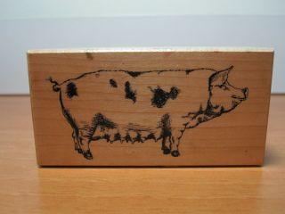 Rare Wood Mounted Farm Animal " Pregnant Nursing Pig " Rubber Stamp F - 1864 By Psx
