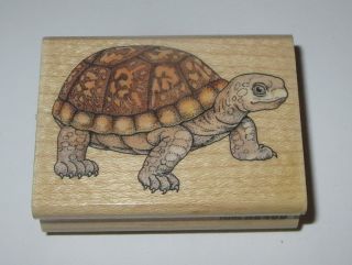 Turtle Rubber Stamp Reptile Rare Retired Stampede Animal Wood Mounted