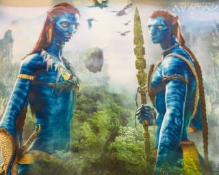 Avatar Movie Vinyl Banner Poster 60”x60” Rare Movie Poster.