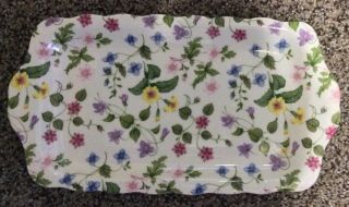 Queen’s,  England Country Meadow Servingplatter Plate Fine Bone China - Rare