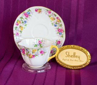 Extremely Rare Shelley Dainty Shape Rose Trellis Tea Cup Teacup Set 2340