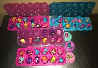 Hatchimals Colleggtibles 48 With Sparkly Egg Cartons Storage Common ? Rare ?