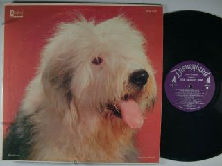 The Life And Times Of A Shaggy Dog Disneyland Lp Rare Booklet