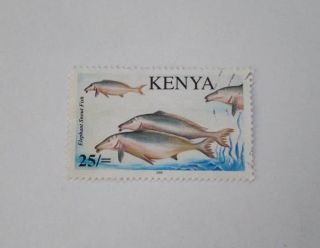 Fishes Of Lake Victoria 25s  - Kenya,  Rare (2006)