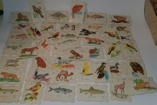Rare 44 Outstanding Vintage 40s 50s Animal Fish Point Cards A Built Rite Toy