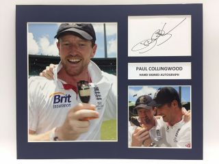 Rare Paul Collingwood Cricket Signed Photo Display,  Autograph England Ashes