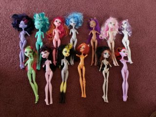 13 Monster High Ever After High Doll Bodies Naked / No Arms Great For Ooak Rare