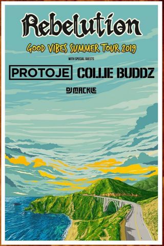 Rebelution Good Vibes Summer Tour 2019 Ltd Ed Rare Poster,  Poster Protoje
