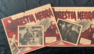La Bestia Negra 1938 Arturo De Cordova Fernando Soler Rare Mexican Lobby Cards