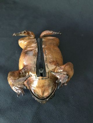 Rare Frog / Toad Taxidermy Purse Unique