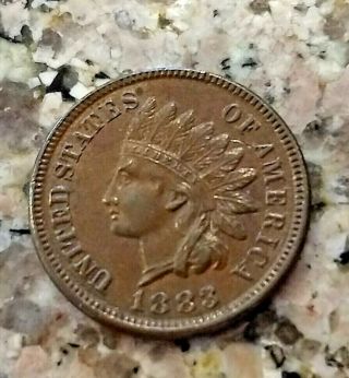 Rare 1883 Brown U.  S Indian Head Penny Clear Sharp Details No/res