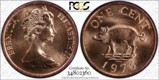 1973 Bermuda Cent Pcgs Sp67 Red - Extremely Rare Kings Norton Proof
