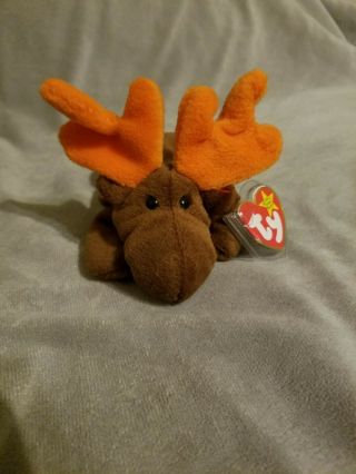 Rare Ty 9 Beanie Baby Chocolate Moose 1993 Pvc Pellets With Errors