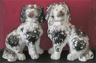 Rare 19th Cent Staffordshire Black & White Cavalier Dogs Circa 1860