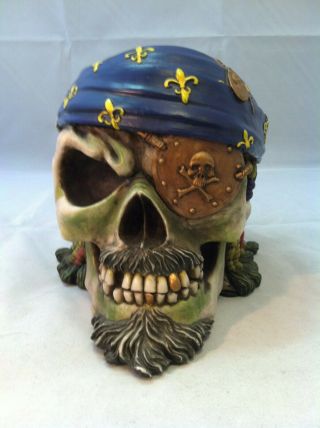 Pacific Giftware Pirate Skull Money Bank Rare Rare