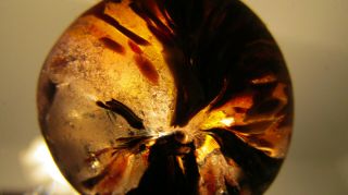 Rare MURANO Beach Sea Glass art Venice Italy multi color black brown (B6) 6