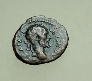 Septimius Severus Ae17mm Nicopolis Ad Istrum Head Of Heracles Very Rare