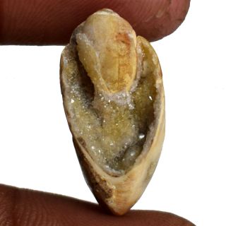 15 Ct 100 Rare Natural Fossilized Druzy Agate Gemstone Cabochon Gemstone