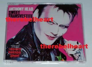 Rocky Horror Show Anthony Head Sweet Transvestite 1991 Uk Cd Single - Very Rare