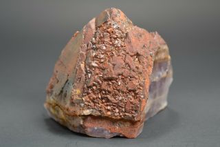 Auralite 23 " Dragons Scale " Red/brown Tip Crystal Point Rare A,  Canada