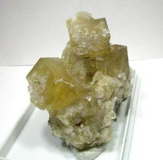 Rare Locality Yellow Fluorite: Murton Mine,  Scoredale,  Cumbria,  England - Nr