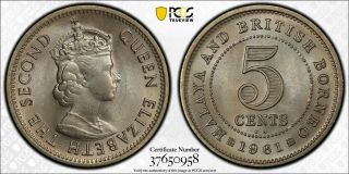 1961 Kn Malaya & British Borneo 5 Cents Pcgs Ms66 W/ Rare Large Kn Velvet Luster