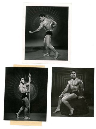 Rare 3 Ea Vintage 1940s Bob Mizer Amg Photo Male Nude Beefcake Bodybuild Muscle