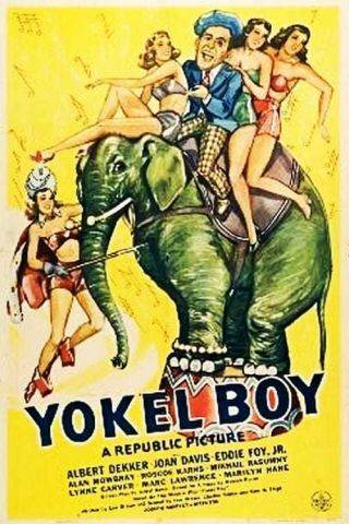 Yokel Boy Rare Classic Comedy Film Dvd 1942 Albert Dekker